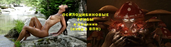 хмурый Волосово