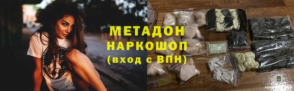 прущие грибы Волоколамск