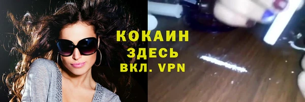 прущие грибы Волоколамск
