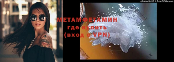 прущие грибы Волоколамск