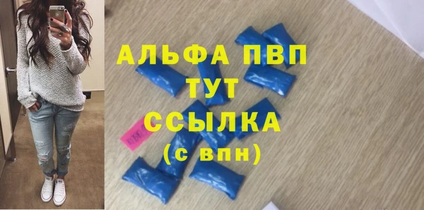 прущие грибы Волоколамск