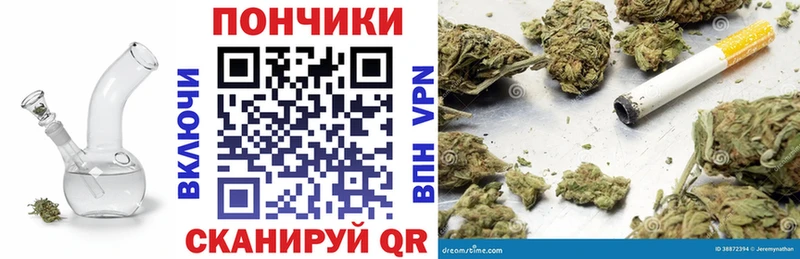 купить наркотики цена  Плёс  Каннабис индика 